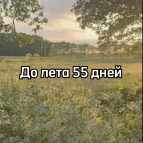 До лета — стикер для MAX
