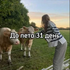 До лета — стикер для MAX