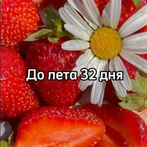 До лета — стикер для MAX