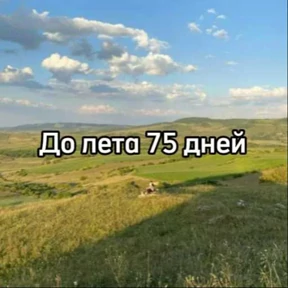 До лета — стикер для MAX