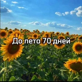 До лета — стикер для MAX