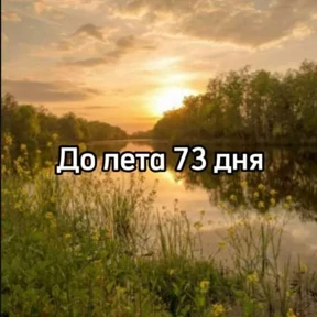 До лета — стикер для MAX