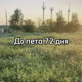 До лета — стикер для MAX