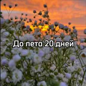 Стикер из сообщения канала