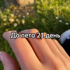 До лета — стикер для MAX