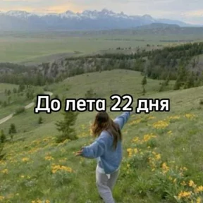 До лета — стикер для MAX
