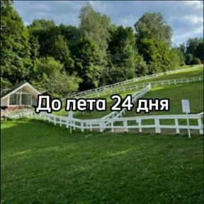 До лета — стикер для MAX