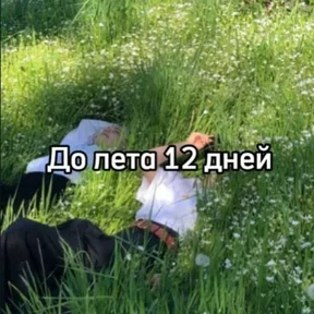 До лета — стикер для MAX