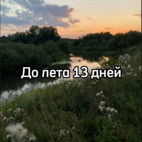 До лета — стикер для MAX