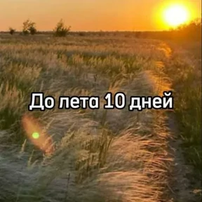 До лета — стикер для MAX