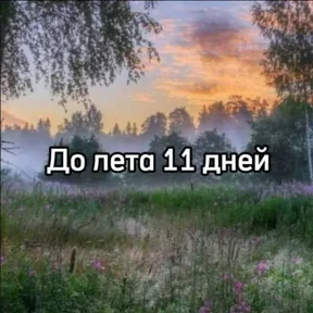 До лета — стикер для MAX