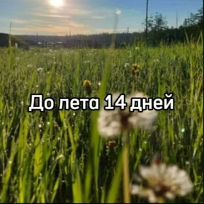 До лета — стикер для MAX