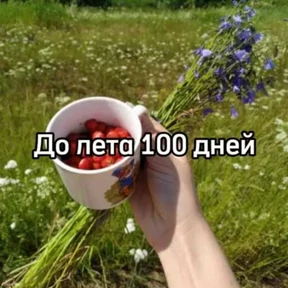До лета — стикер для MAX
