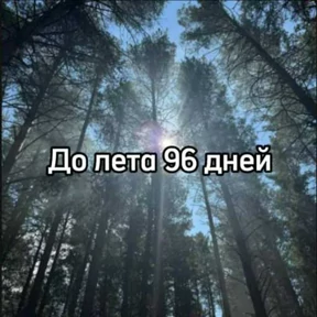 До лета — стикер для MAX