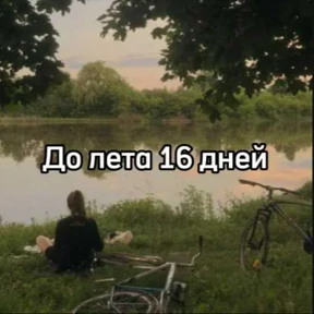 До лета — стикер для MAX