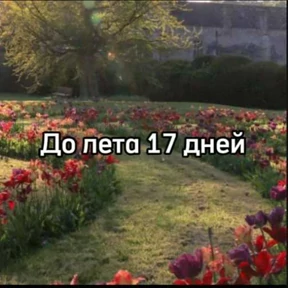 До лета — стикер для MAX