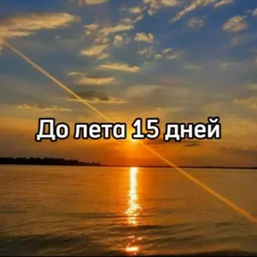 До лета — стикер для MAX