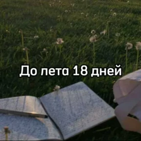 Стикер