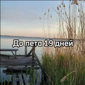 До лета — стикер для MAX