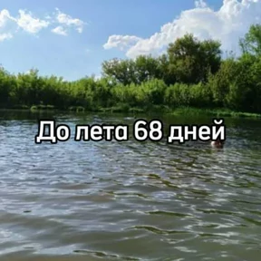 До лета — стикер для MAX