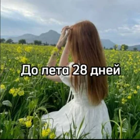 До лета — стикер для MAX