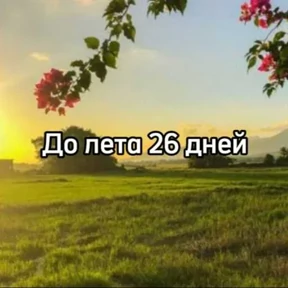 До лета — стикер для MAX
