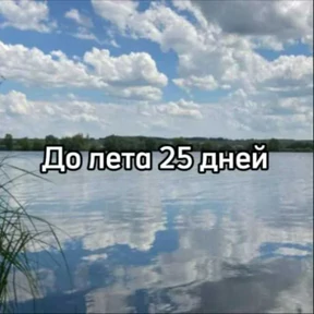 До лета — стикер для MAX