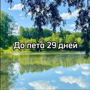 До лета — стикер для MAX
