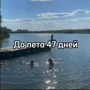 До лета — стикер для MAX