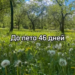 До лета — стикер для MAX