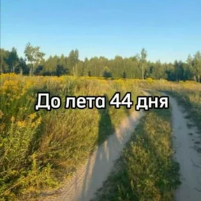 До лета — стикер для MAX