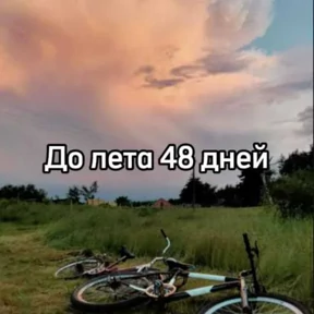 До лета — стикер для MAX