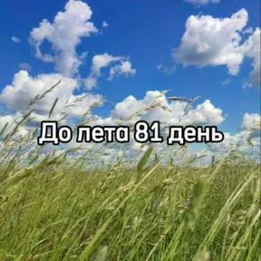До лета — стикер для MAX