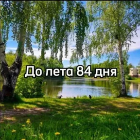 До лета — стикер для MAX