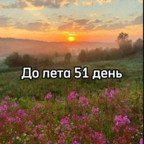 До лета — стикер для MAX