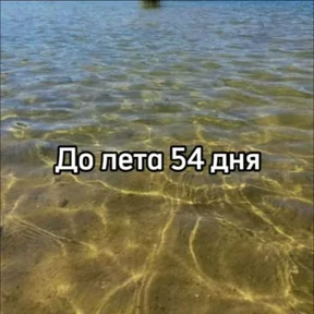 До лета — стикер для MAX