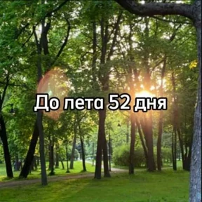 До лета — стикер для MAX