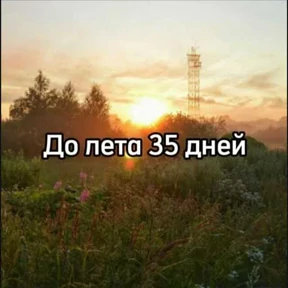 До лета — стикер для MAX