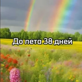 До лета — стикер для MAX
