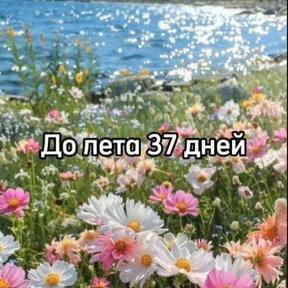 До лета — стикер для MAX