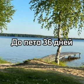 До лета — стикер для MAX