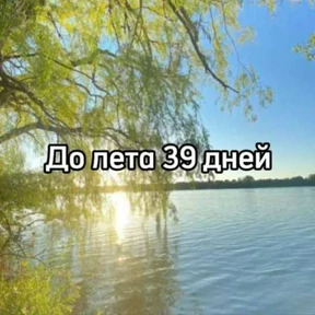 До лета — стикер для MAX