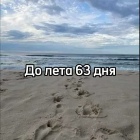 До лета — стикер для MAX