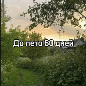 До лета — стикер для MAX