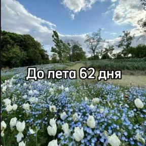 До лета — стикер для MAX