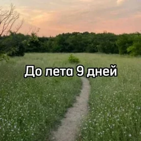 До лета — стикер для MAX