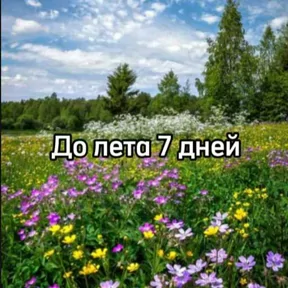 Стикер из сообщения канала