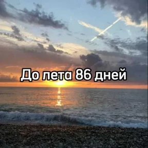 До лета — стикер для MAX