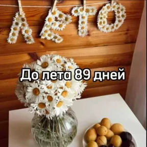 До лета — стикер для MAX