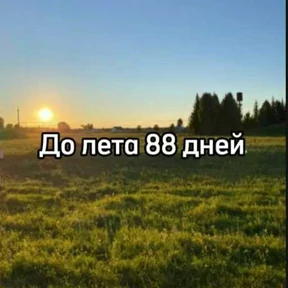 До лета — стикер для MAX